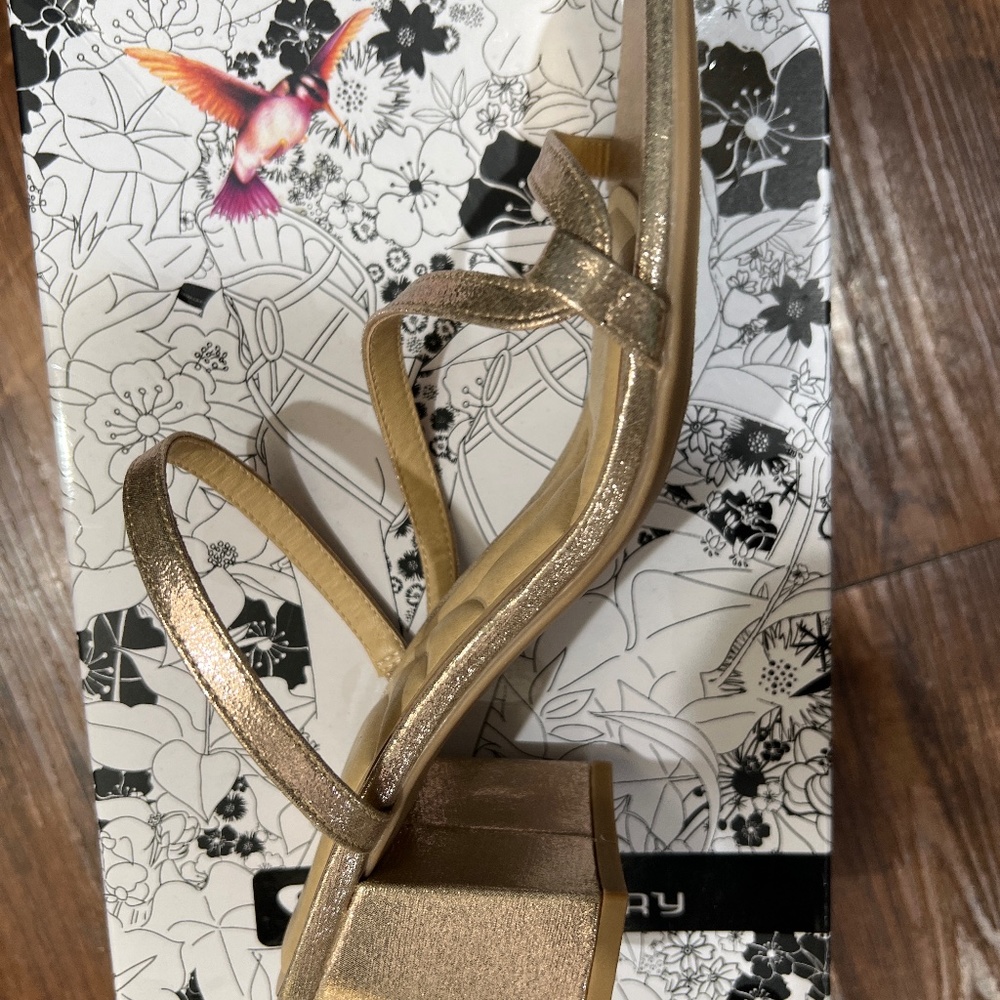 Blaine starstone wedge gold sandal